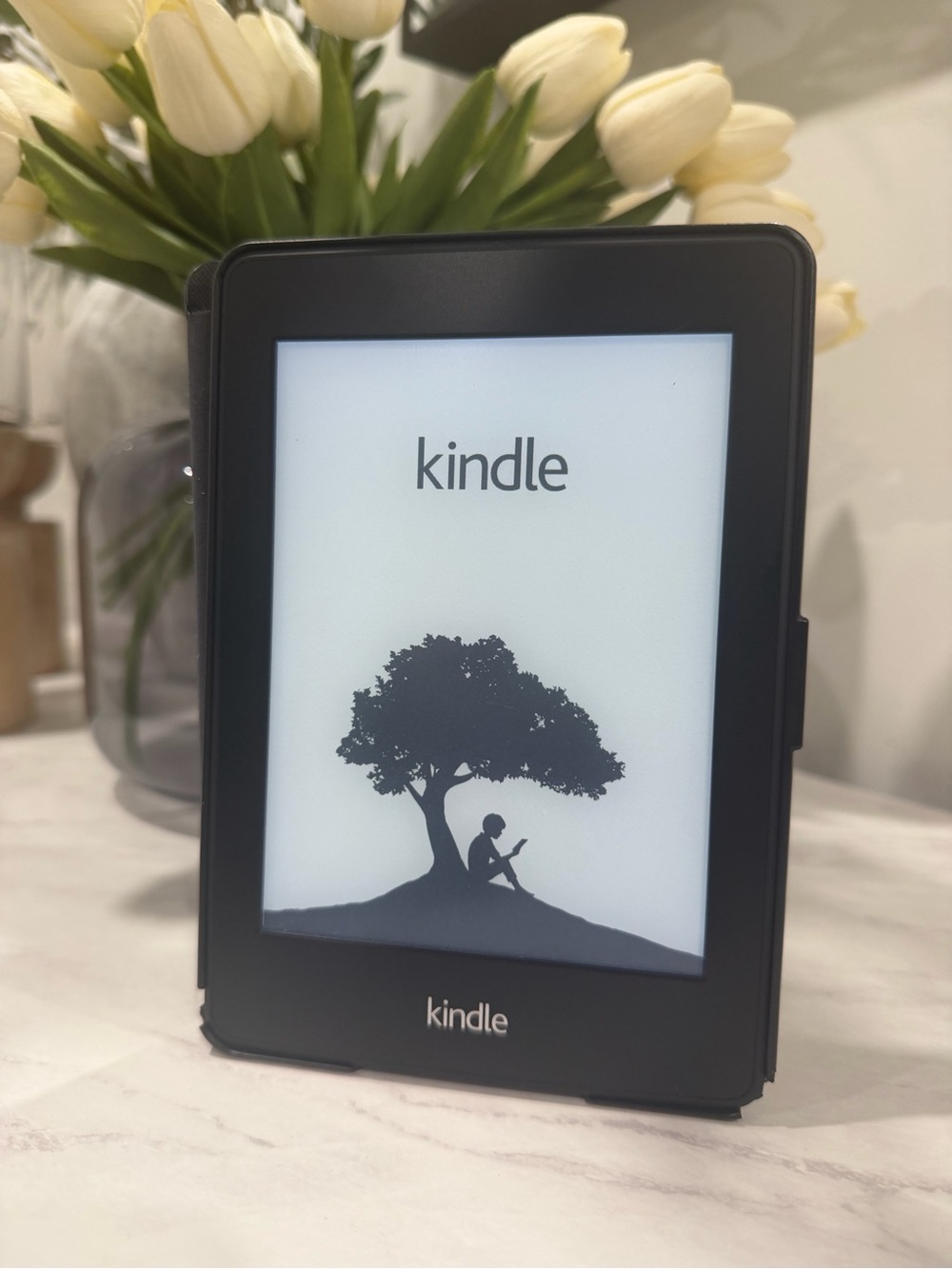 Amazon Kindle Paperwhite E-Reader, Black with E Ink Display and Cover - 6th Gen